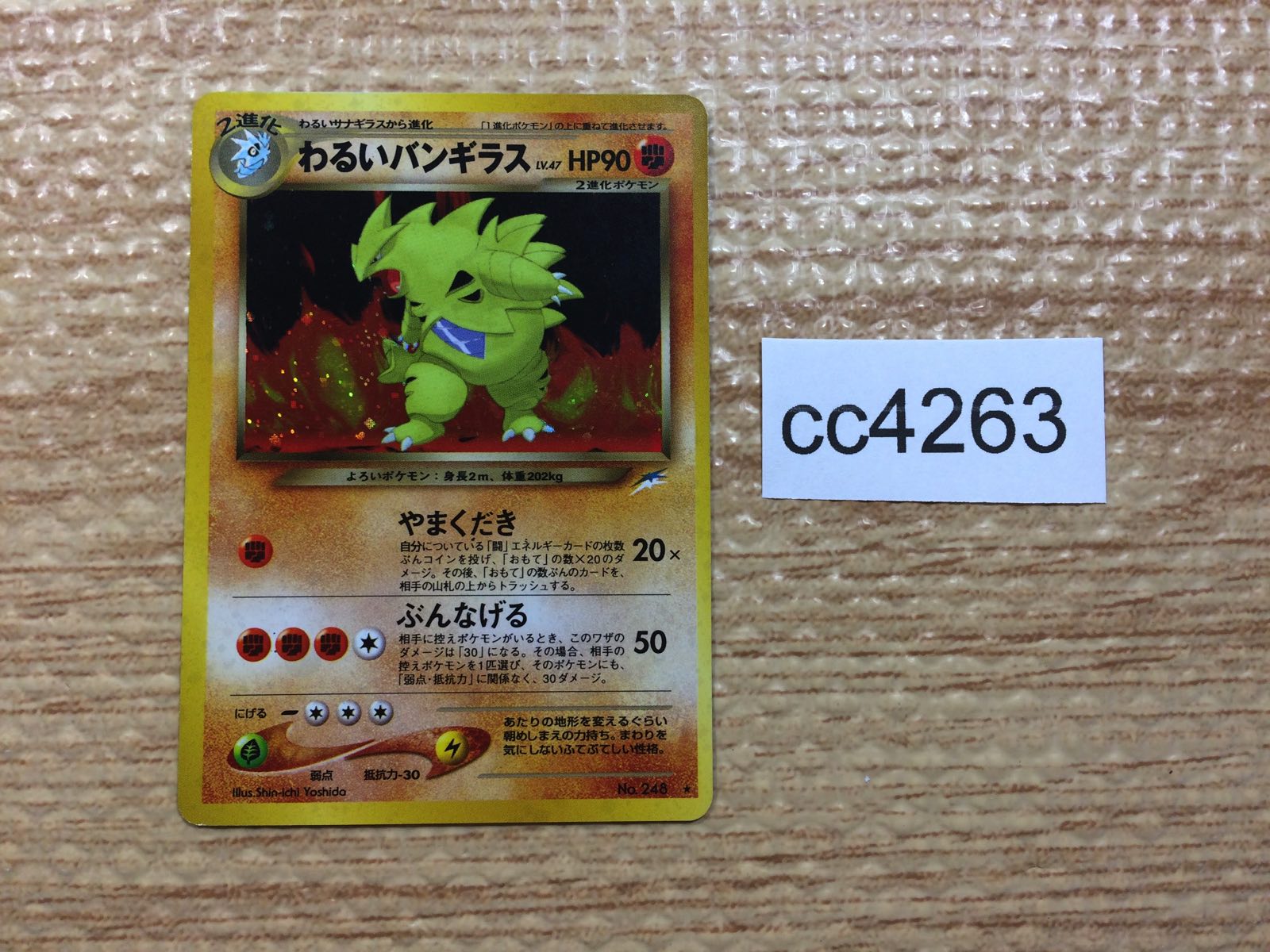 Pokemon Cards – Page 21 – J4U.co.jp