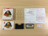 de1785 Chocobo no Fushigi na Dungeon BOXED Wonder Swan Bandai Japan