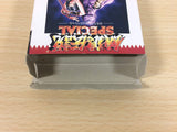 ua3881 Fatal Fury Special BOXED Sega Game Gear Japan