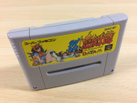 ua2759 Kendo Rage Makeruna! Makendou BOXED SNES Super Famicom Japan