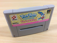 ua3056 Tiny Toon Adventures Dotabata Dai Undoukai BOXED SNES Super Famicom Japan
