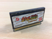 de1785 Chocobo no Fushigi na Dungeon BOXED Wonder Swan Bandai Japan