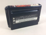 dd9434 Eternal Champions BOXED Mega Drive Genesis Japan