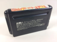 dd8243 The Newzealand Story BOXED Mega Drive Genesis Japan