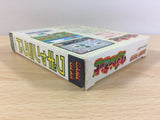 dd9909 Wagyan Land BOXED Sega Game Gear Japan