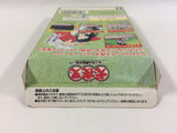 DD7389 Inuyasha BOXED Wonder Swan Bandai Japan