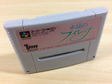 Eien no Filena Eternal Filena BOXED SNES Super Famicom Japan - UA2716