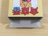 de6393 Soukoban Sokoban BOXED Sega Game Gear Japan