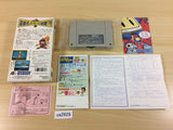 Takahashi Meijin no Daibouken Jima II BOXED SNES Super Famicom Japan - UA2929