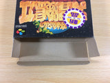Takahashi Meijin no Daibouken Jima II BOXED SNES Super Famicom Japan - UA2929
