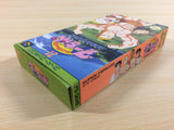 Jungle no Ouja Tar chan Jungle King BOXED SNES Super Famicom Japan - UA3778