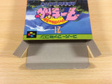 Jungle no Ouja Tar chan Jungle King BOXED SNES Super Famicom Japan - UA3778