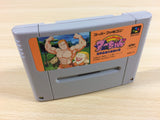 Jungle no Ouja Tar chan Jungle King BOXED SNES Super Famicom Japan - UA3778