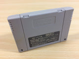 Jungle no Ouja Tar chan Jungle King BOXED SNES Super Famicom Japan - UA3778