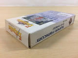 Estpolis Denki Lufia BOXED SNES Super Famicom Japan - UA5178