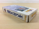 Estpolis Denki Lufia BOXED SNES Super Famicom Japan - UA5178