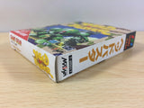 dd9921 Head Buster BOXED Sega Game Gear Japan