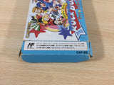 dc6274 Rock Board Wily & Right Rockman Megaman BOXED NES Famicom Japan
