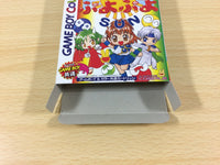 ua8461 Pocket Puyo Puyo Sun BOXED GameBoy Game Boy Japan