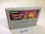 Dragon's Magic Lair SNES Super Famicom Japan - SG1741