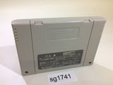 Dragon's Magic Lair SNES Super Famicom Japan - SG1741