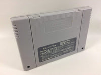 DD8024 Fighter's History BOXED SNES Super Famicom Japan
