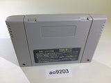 ao9203 Ghost Chaser Densei SNES Super Famicom Japan