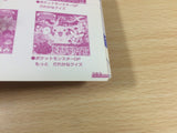 Pokemon Diamond and Pearl Chie Asobi p383 Nintendo DS Book Japan - DC7266