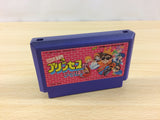 Tashiro Masashi no Princess ga Ippai BOXED NES Famicom Japan - UA8268