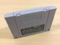 ua3034 Ghost Sweeper Mikami BOXED SNES Super Famicom Japan