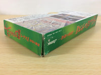 ua3680 Lennus 2 Fuuin no Shito Paladin's Quest BOXED SNES Super Famicom Japan