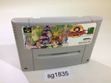 Super Puyo Puyo 2 Tsu SNES Super Famicom Japan - SG1835