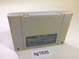Super Puyo Puyo 2 Tsu SNES Super Famicom Japan - SG1835