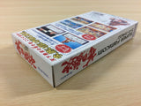 Hana no Keiji Kumo no Kanata ni BOXED SNES Super Famicom Japan - UA4402