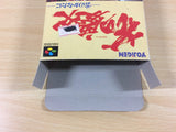 Hana no Keiji Kumo no Kanata ni BOXED SNES Super Famicom Japan - UA4402