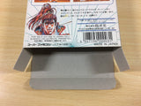 Hana no Keiji Kumo no Kanata ni BOXED SNES Super Famicom Japan - UA4402