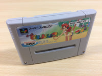 UA3242 Super Gussun Oyoyo 2 BOXED SNES Super Famicom Japan