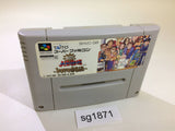Dai Bakushou Jinsei Gekijou SNES Super Famicom Japan - SG1871