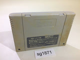 Dai Bakushou Jinsei Gekijou SNES Super Famicom Japan - SG1871