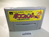 aq5809 Poko Nyan! Henpokorin Adventure SNES Super Famicom Japan