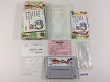 DD8048 Pikiinya! Pikinya! BOXED SNES Super Famicom Japan