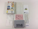 DD8048 Pikiinya! Pikinya! BOXED SNES Super Famicom Japan