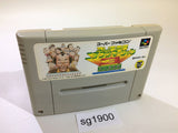Super Nichibutsu Mahjong 3 SNES Super Famicom Japan - SG1900