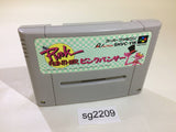 Pink Panther In Pink Goes To Hollywood SNES Super Famicom Japan - SG2209