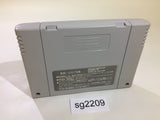 Pink Panther In Pink Goes To Hollywood SNES Super Famicom Japan - SG2209