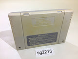 The Game of Life Super Jinsei Game SNES Super Famicom Japan - SG2215