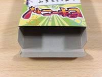 WA1522 Pikiinya! Pikinya! BOXED SNES Super Famicom Japan