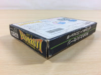 ua5334 Lost Word of Jenny BOXED NES Famicom Japan