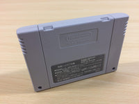 ua4317 Dead Dance Tuff E Nuff BOXED SNES Super Famicom Japan