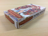 Princess Maker Legend of Another World BOXED SNES Super Famicom Japan - UA4947